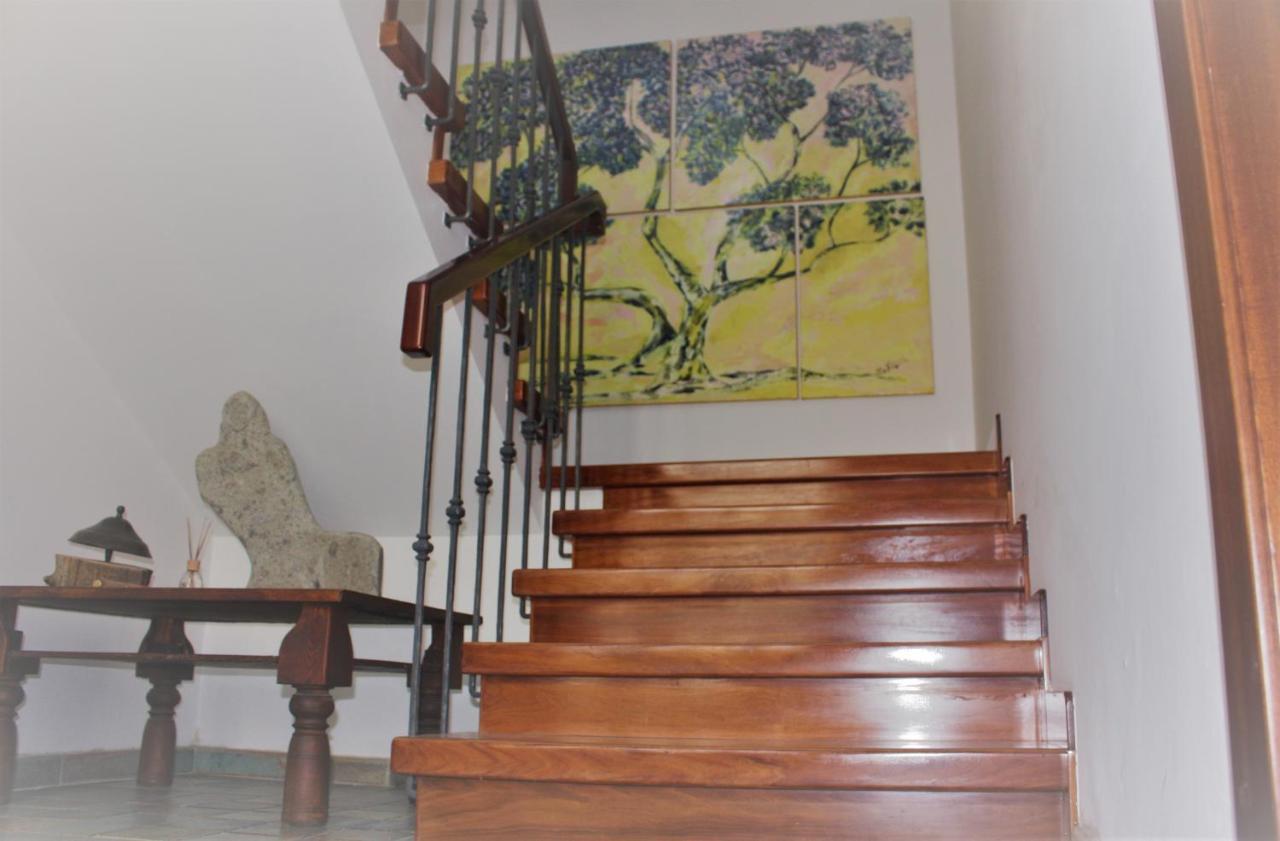 Maruru B & B Dell'Arte Чивитанова Марке Екстериор снимка